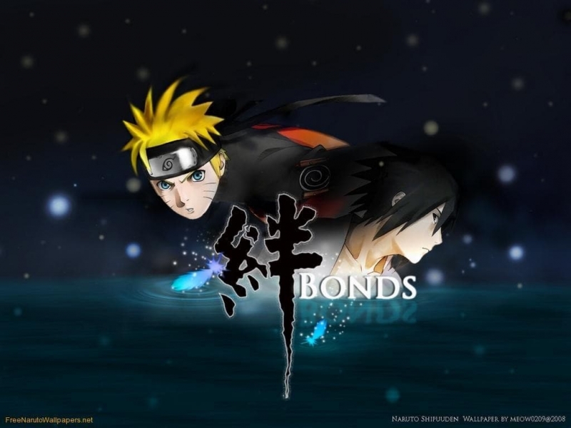 Watch Naruto Shippuden the Movie: Bonds 2008 full HD on MovieCracker Free